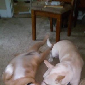 Meet your Posher, Tylea